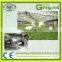 Tea leaf processing machine / tea steamer /tea steaming machine