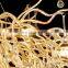 Home Decor Tree Branch Brass Luxury Chandelier Living Room Decorative Modern Crystals Gold Chandeliers Light