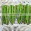 frozen green asparagus cuts