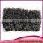 2015 Hot Selling Kinky Curly Hair Weft Noble Kinky Twist Hair 100% Virgin human hair