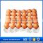 new hot 12 eggs tray pp for packing and transportation