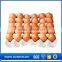 new hot 12 eggs tray pp for packing and transportation