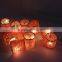 Printed Paper Red Elk String New Christmas Lights