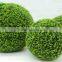 Wholesale Topiary Boxwood Ball types of ornamental plants