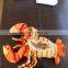 Lizard Rock Lobster Unique Plush Toy