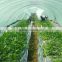 150 micron 200 micron Agricultural Greenhouse Film for Sale