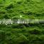 factory price Artificial Grass for landscaping