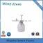 MZ -T-2 New structure 300ml glass garden sprayer bottles/water dispenser