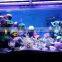 Sunrise sunset simulation WIFI wireless control system aquarium light led for fish tank