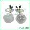35mm DC24v 6 leds clear/frost body point pixel