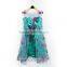 NEW Arrival Frozen Elsa Princess Dress Cinderella Princess Dress Fashion Cosplay Dress