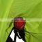 Rockbros Bicycle Reflective shelf Backpack Cover Dust-proof Waterproof Cover
