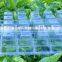 50Cells PVC Vegetables/Fruits Nursery Tray &Lids