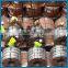 Hot Dip Galvanized GI Steel Coil for PPGI Manufacturing