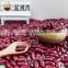 Chinese Dark Red Kidney Beans Shanxi Variety