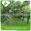 Emerald cheap su pear exporter