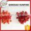 Bulk cheap dried cherry fruit pits