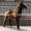 animals cartoon outdoor handicraft funny donkey