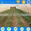 TS irrigation green house drip irrigation system saving water products sample