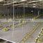 Chickens plastic flooringpoultry plastic slat floor