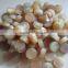 Natural india buffalo horn button blank for coat