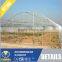 Experienced and Elegant Multi-Span Tunnel Green House