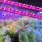 Wholesale 60W veg led grow light bar full specturm marshydro led grow light strip/ bar