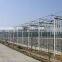 Large size Multi-span Glass Greenhouse/commercial Greenhouses