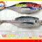 FROZEN W/R HORSE MACKEREL