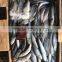 competitive price wholesale round frozen Sardine for canning