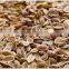 DILL SEED EXTRACT