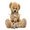 Factory Direct Custom Giant Teddy Bear unstuffed plush toy skin
