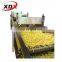 XDX 500kg/h full automatic frozen french fries machinery for potato french fries production line
