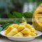 100% PURE ORGANIC FREEZE DRIED JACKFRUIT POWDER FROM VIET NAM