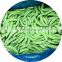 2020 BRC Certified Double Size Stringless IQF Frozen Sugar Snap Peas