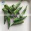 New Crop L 6 - 9 cm 8-12 cm 1 / 2 inch cut Iqf Frozen Okra Cut