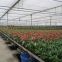 Multi-functional mobile seedling bed quality assurance manufacturers direct sales