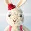 Hot Selling Pink Bunny Amigurumi Crochet Doll Free Pattern for KID Hand Knitting Vietnam Supplier Cheap Wholesale
