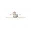 Foton Auman/Aumark/Miler/Land Pioneer Weichai Engine Gearbox Zf/Fast Truck Spare Parts 1b24951200041 Plastic Nut