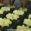 Fully Automatic Commercial Cookie Press Machine Industrial Cookie Making Machine
