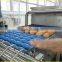 candling machine for eggs , washing machine for chicken eggs