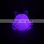 Self Design Plastic Vinyl Led Light Frog Toys for Kids Frog Rotocasting Animal Toys