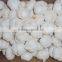 fresh garlic for selling hot,clear garlic, year garlic,fresh garlic, chinese garlic