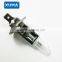 High quality Hyundai H1 12v 55w accessories auto light H1