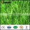 Natural Grass Soccer Field Fifa Approved Turf