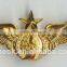 Pied cast star military badge with pin