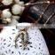 marvelous gorgeous splendid posh shrimp pendment vintage plated environmental alloy with rhinestone necklace
