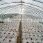 PE Agricultural black plastic perforated mulch film with holes for strawberry