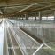 fully automatic pullets cage /brooder cage for small chicks poultry farm