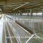 Automatic Brooder Chicken Cage Design For Poultry Chicken Farm
